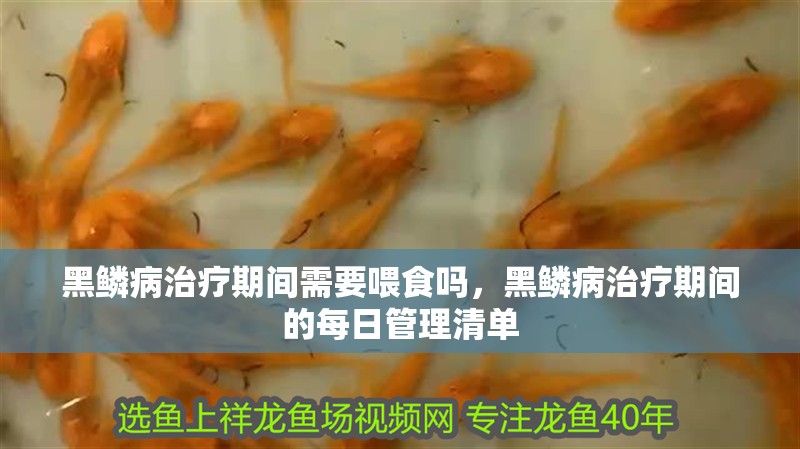 黑鱗病治療期間需要喂食嗎，黑鱗病治療期間的每日管理清單