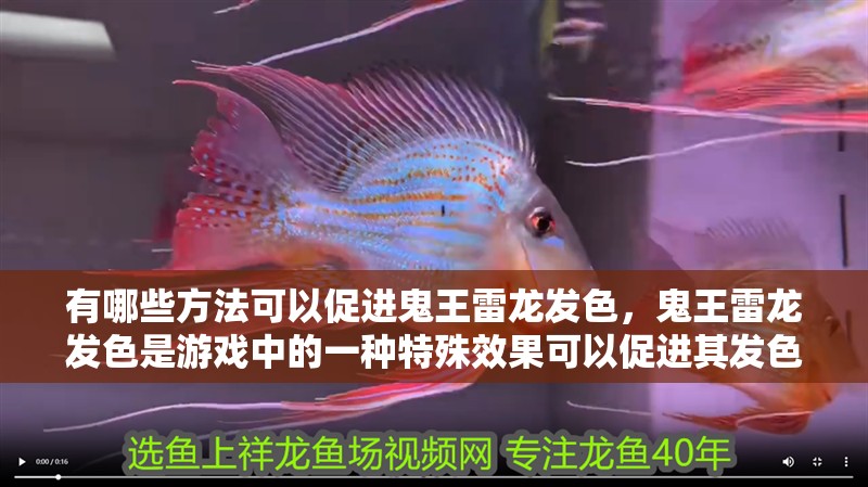 有哪些方法可以促進鬼王雷龍發色，鬼王雷龍發色是游戲中的一種特殊效果可以促進其發色