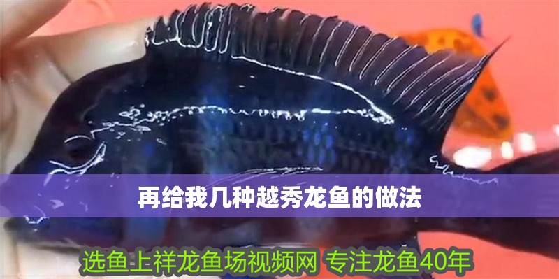 再給我幾種越秀龍魚的做法 再給我幾種越秀龍魚的做法 龍魚百科
