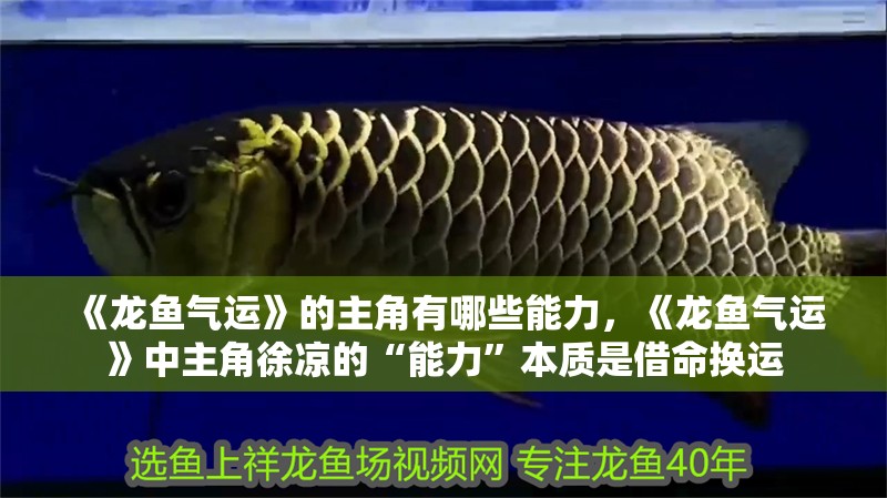 《龍魚氣運》的主角有哪些能力，《龍魚氣運》中主角徐涼的“能力”本質是借命換運