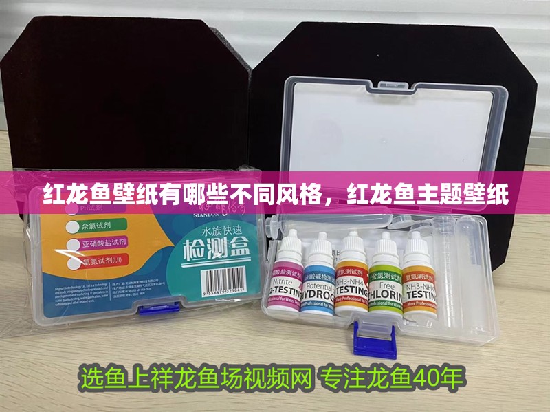 紅龍魚壁紙有哪些不同風(fēng)格，紅龍魚主題壁紙