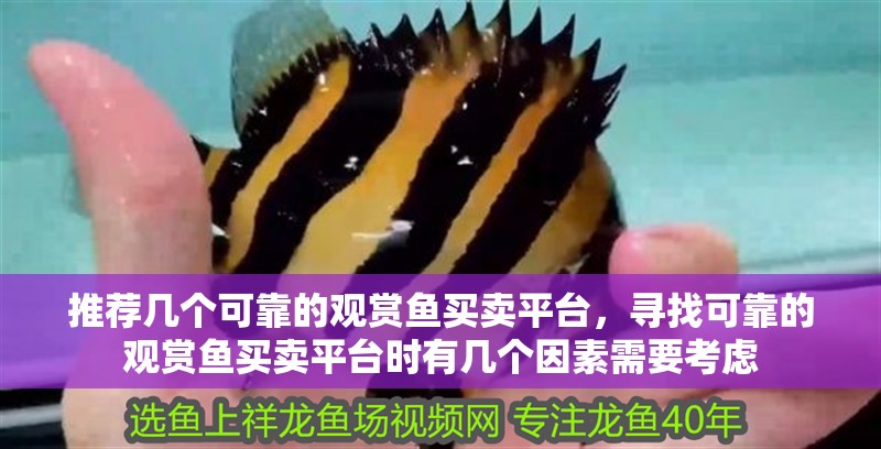 推薦幾個可靠的觀賞魚買賣平臺，尋找可靠的觀賞魚買賣平臺時有幾個因素需要考慮