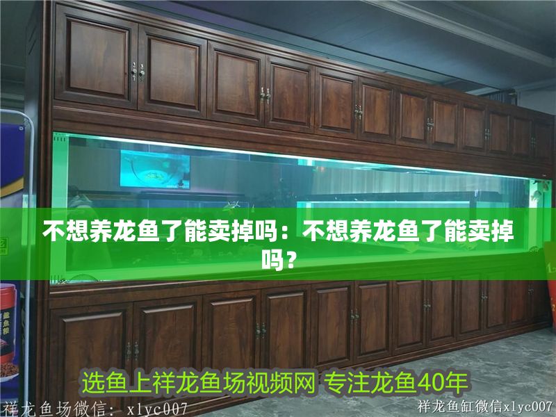 不想養龍魚了能賣掉嗎：不想養龍魚了能賣掉嗎？
