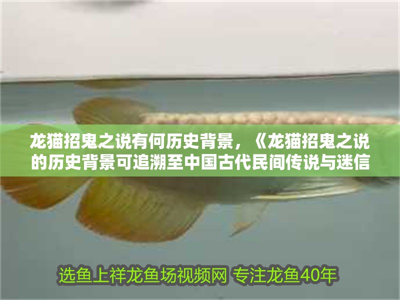 龍貓招鬼之說有何歷史背景，《龍貓招鬼之說的歷史背景可追溯至中國古代民間傳說與迷信