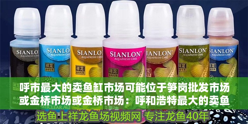 呼市最大的賣魚缸市場可能位于筍崗批發市場或金橋市場或金橋市場：呼和浩特最大的賣魚缸的市場在哪里？