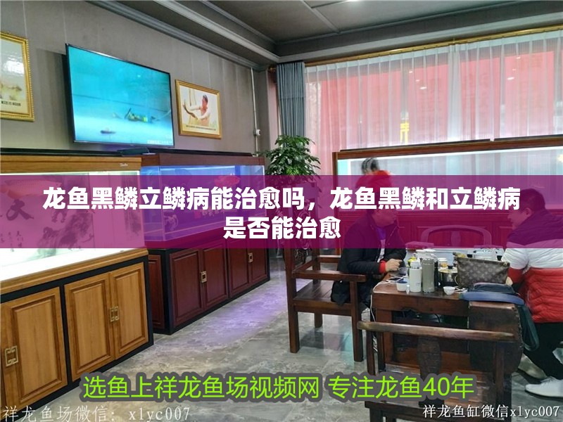 龍魚黑鱗立鱗病能治愈嗎，龍魚黑鱗和立鱗病是否能治愈