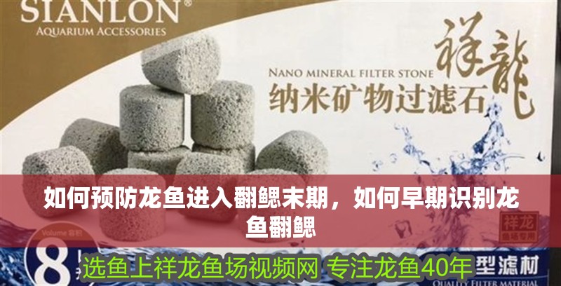 如何預防龍魚進入翻鰓末期，如何早期識別龍魚翻鰓