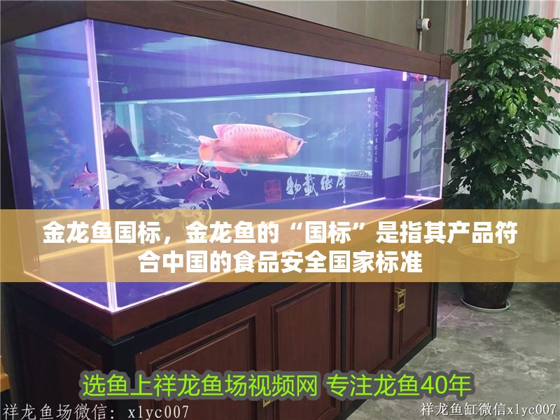 金龍魚國標，金龍魚的“國標”是指其產品符合中國的食品安全國家標準