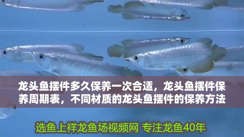 龍頭魚擺件多久保養一次合適，龍頭魚擺件保養周期表，不同材質的龍頭魚擺件的保養方法