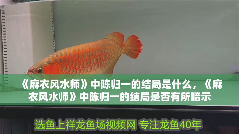 《麻衣風水師》中陳歸一的結局是什么，《麻衣風水師》中陳歸一的結局是否有所暗示