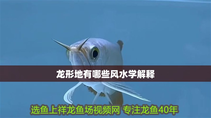 龍形地有哪些風水學解釋