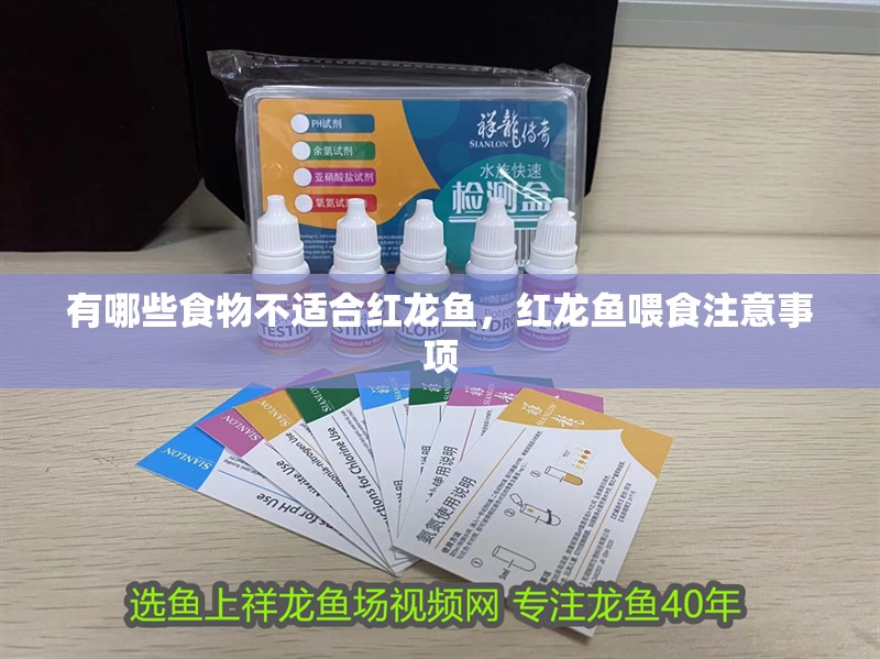 龍魚干蝦有營養嗎 有哪些食物不適合紅龍魚,紅龍魚喂食注意事項 龍魚百科 有哪些食物不適合紅龍魚,紅龍魚喂食注意事項 有哪些食物不適合紅龍魚,紅龍魚喂食注意事項 龍魚百科