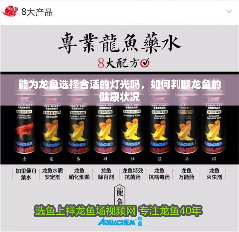 能為龍魚選擇合適的燈光嗎，如何判斷龍魚的健康狀況 能為龍魚選擇合適的燈光嗎，如何判斷龍魚的健康狀況 龍魚百科