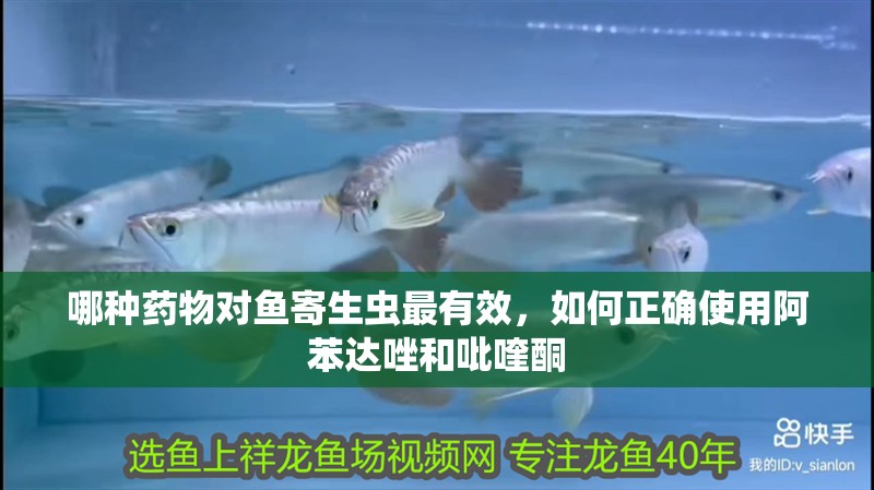 哪種藥物對魚寄生蟲最有效，如何正確使用阿苯達唑和吡喹酮