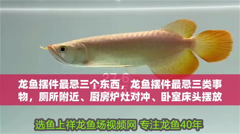 龍魚擺件最忌三個東西，龍魚擺件最忌三類事物，廁所附近、廚房爐灶對沖、臥室床頭擺放