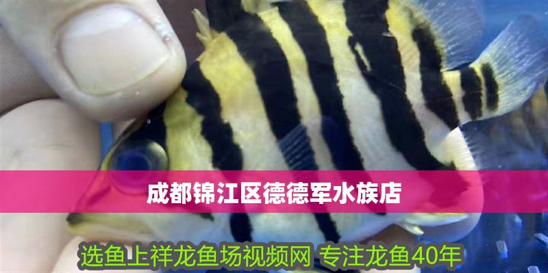 <strong><mark>成都</mark></strong>錦江區(qū)德德軍水族店