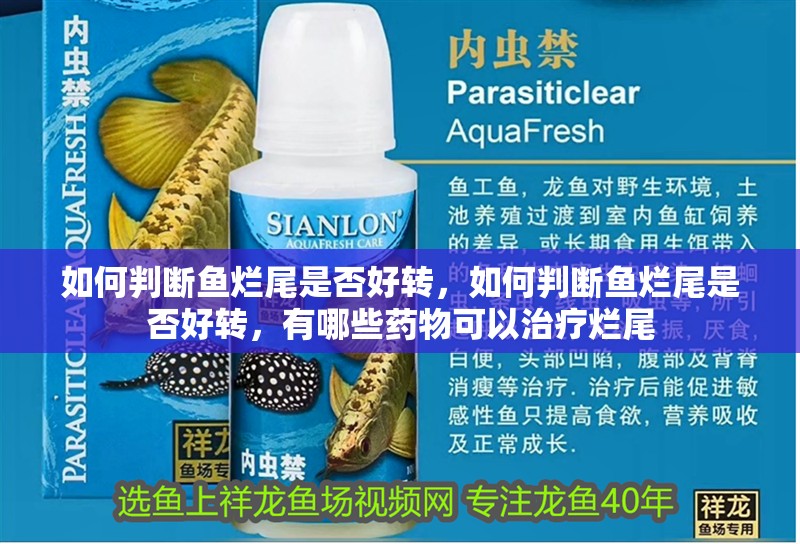 如何判斷魚爛尾是否好轉，如何判斷魚爛尾是否好轉，有哪些藥物可以治療爛尾