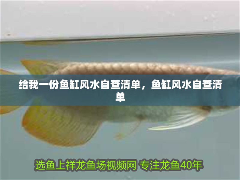 給我一份魚缸風水自查清單，魚缸風水自查清單 給我一份魚缸風水自查清單，魚缸風水自查清單 龍魚百科