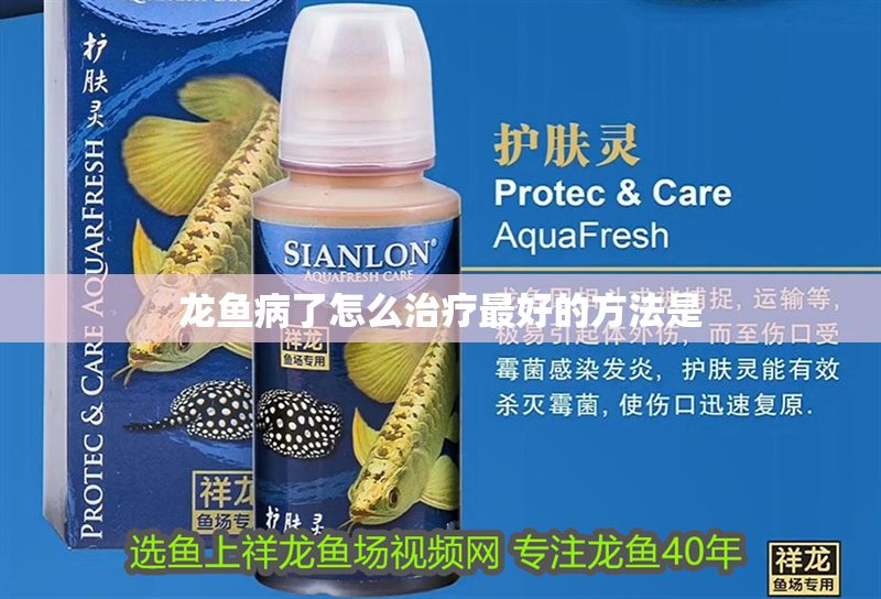 龍魚病了怎么治療最好的方法是