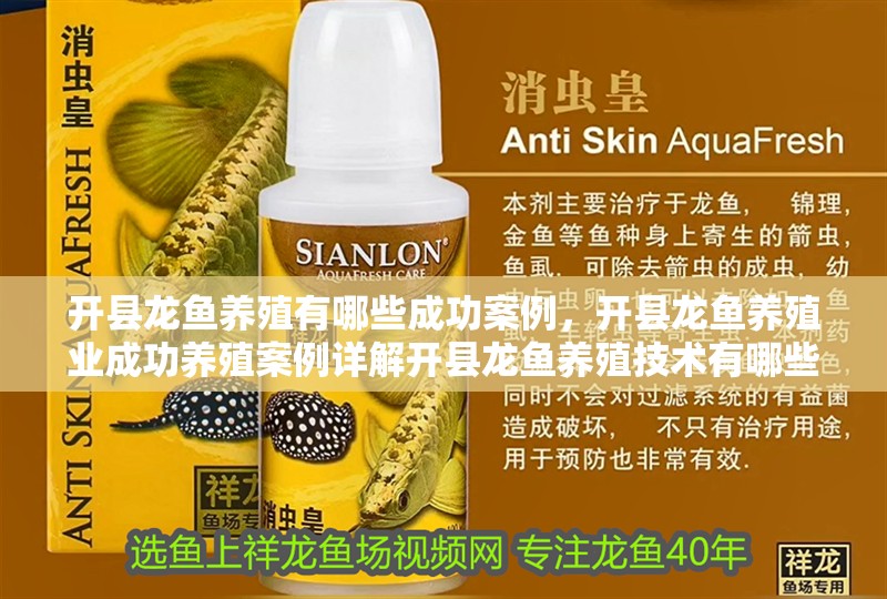 開縣龍魚養殖有哪些成功案例，開縣龍魚養殖業成功養殖案例詳解開縣龍魚養殖技術有哪些 開縣龍魚養殖有哪些成功案例，開縣龍魚養殖業成功養殖案例詳解開縣龍魚養殖技術有哪些 龍魚百科
