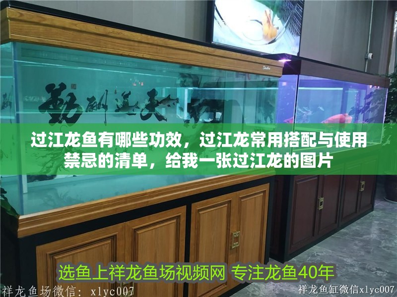 過江龍魚有哪些功效，過江龍常用搭配與使用禁忌的清單，給我一張過江龍的圖片