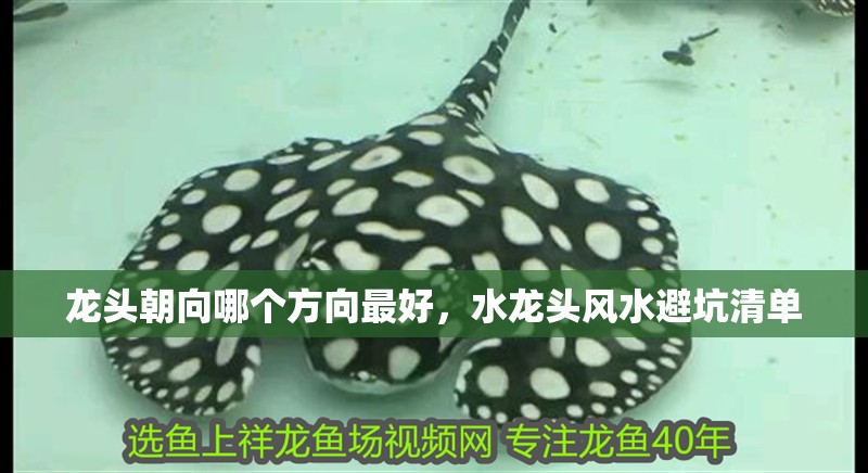 龍頭朝向哪個方向最好，水龍頭風水避坑清單