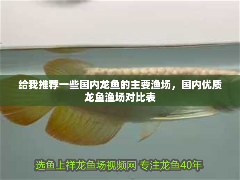 給我推薦一些國內龍魚的主要漁場，國內優質龍魚漁場對比表