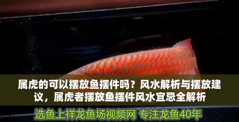 屬虎的可以擺放魚擺件嗎？風水解析與擺放建議，屬虎者擺放魚擺件風水宜忌全解析 屬虎的可以擺放魚擺件嗎？風水解析與擺放建議，屬虎者擺放魚擺件風水宜忌全解析 龍魚百科 第1張