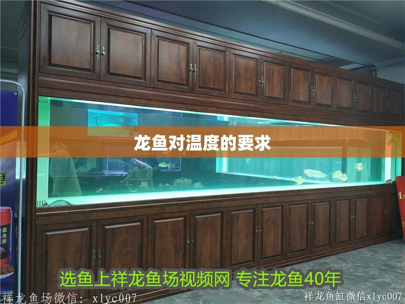 龍魚對溫度的要求