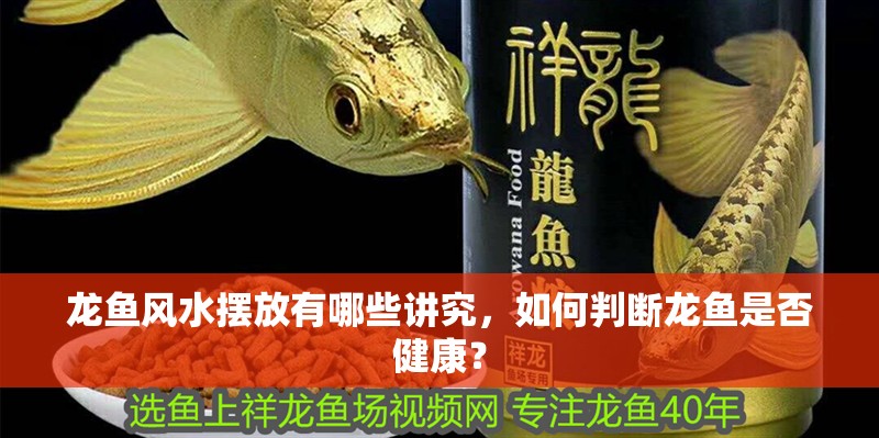 龍魚風水擺放有哪些講究，如何判斷龍魚是否健康？ 龍魚風水擺放有哪些講究，如何判斷龍魚是否健康？ 龍魚百科