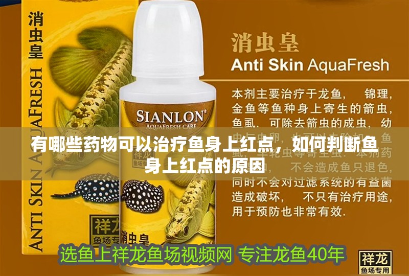 有哪些藥物可以治療魚身上紅點，如何判斷魚身上紅點的原因