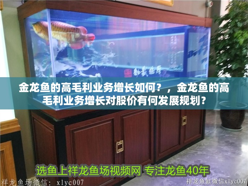 金龍魚的高毛利業務增長如何？，金龍魚的高毛利業務增長對股價有何發展規劃？