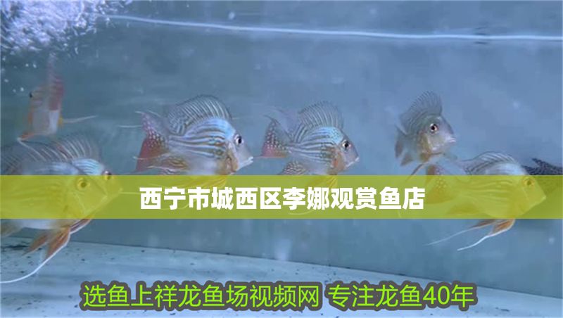 西寧市城西區李娜觀賞魚店