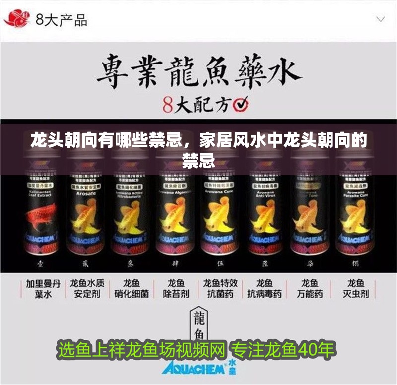 龍頭朝向有哪些禁忌，家居風水中龍頭朝向的禁忌 龍頭朝向有哪些禁忌，家居風水中龍頭朝向的禁忌 龍魚百科