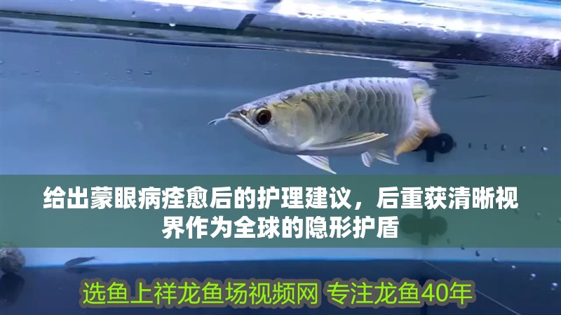 給出蒙眼病痊愈后的護理建議，后重獲清晰視界作為全球的隱形護盾