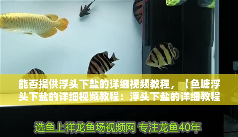 能否提供浮頭下鹽的詳細視頻教程，【魚塘浮頭下鹽的詳細視頻教程：浮頭下鹽的詳細教程