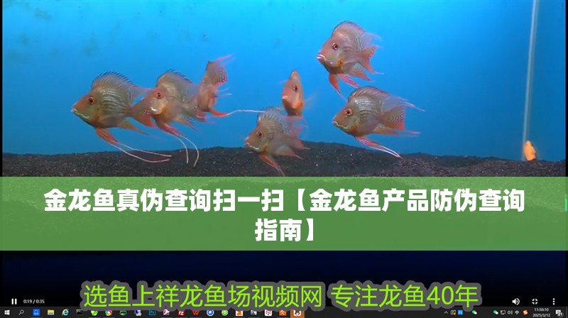 金龍魚真偽查詢掃一掃【金龍魚產品防偽查詢指南】