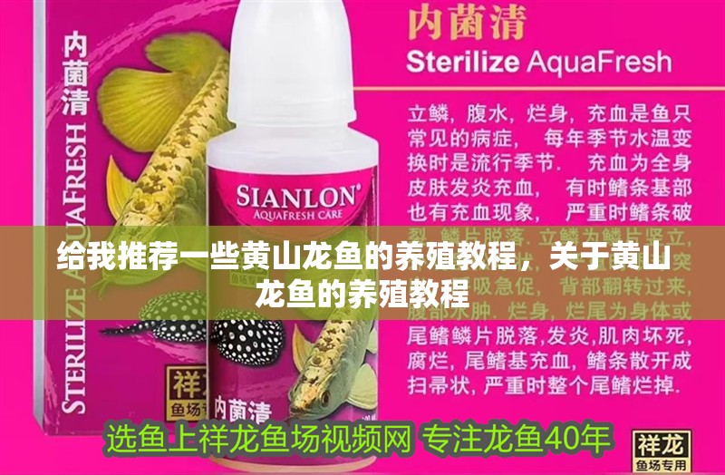 給我推薦一些黃山龍魚的養殖教程，關于黃山龍魚的養殖教程