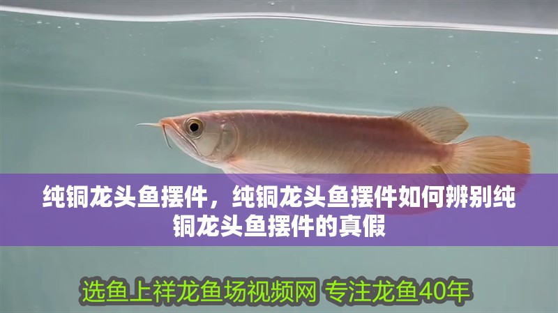 純銅龍頭魚擺件，純銅龍頭魚擺件如何辨別純銅龍頭魚擺件的真假 純銅龍頭魚擺件，純銅龍頭魚擺件如何辨別純銅龍頭魚擺件的真假 龍魚百科