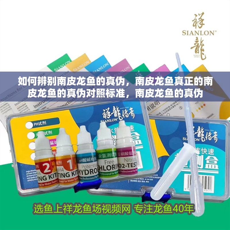 如何辨別南皮龍魚的真偽，南皮龍魚真正的南皮龍魚的真偽對照標準，南皮龍魚的真偽