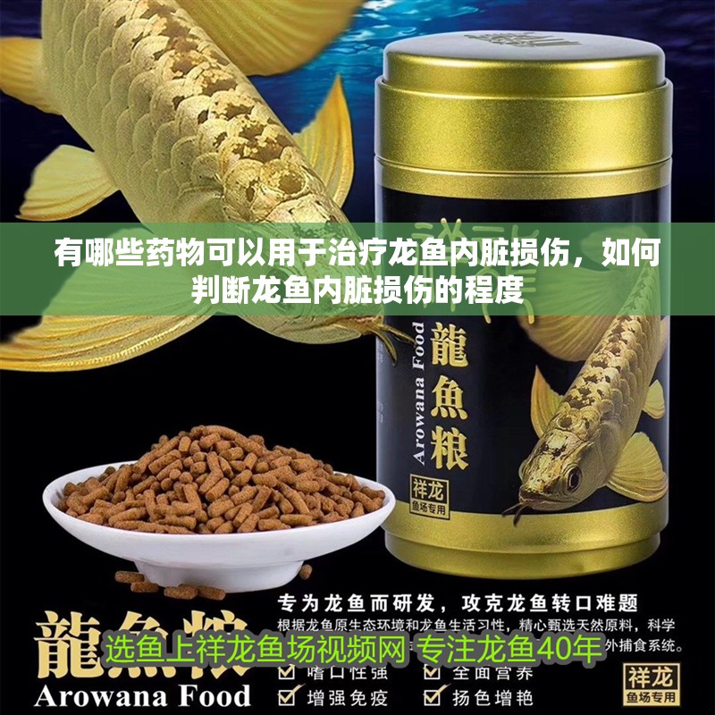 魚缸過濾器選購指南:自制魚缸過濾器魚缸上置過濾器對于養魚愛好者的必備知識 有哪些藥物可以用于治療龍魚內臟損傷,如何判斷龍魚內臟損傷的程度 龍魚百科 有哪些藥物可以用于治療龍魚內臟損傷,如何判斷龍魚內臟損傷的程度 有哪些藥物可以用于治療龍魚內臟損傷,如何判斷龍魚內臟損傷的程度 龍魚百科