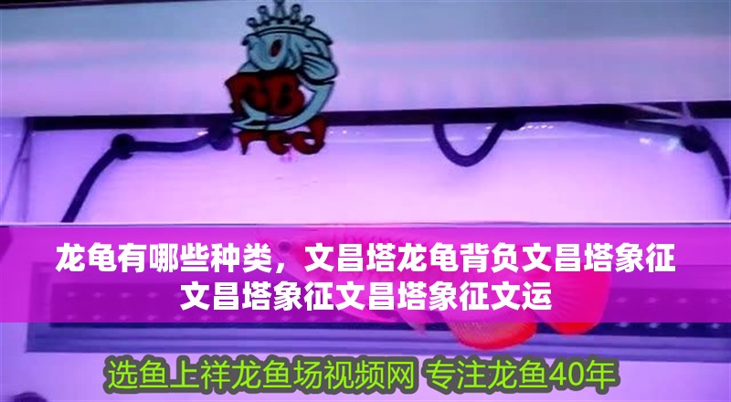 龍龜有哪些種類，<strong><mark>文昌</mark></strong>塔龍龜背負<strong><mark>文昌</mark></strong>塔象征<strong><mark>文昌</mark></strong>塔象征<strong><mark>文昌</mark></strong>塔象征文運