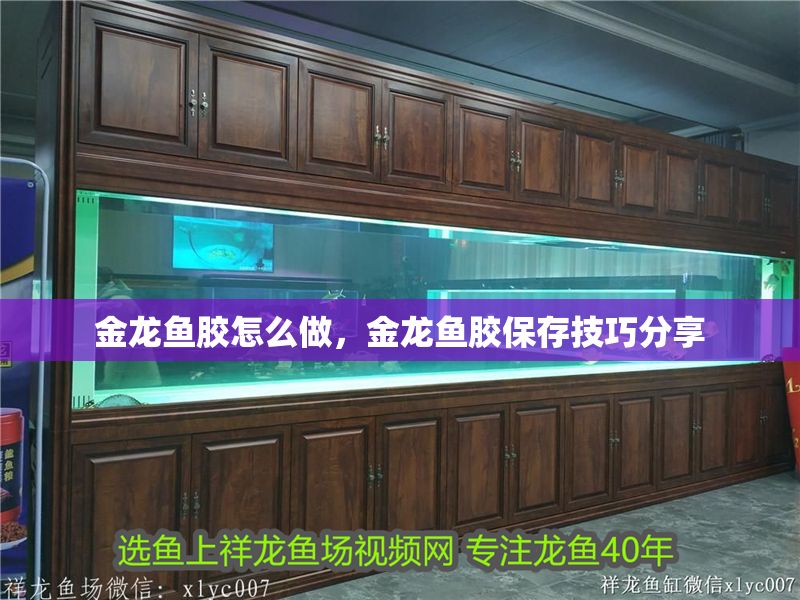 金龍魚膠怎么做，金龍魚膠保存技巧分享