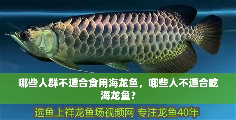 紅龍魚用黃燈烤有用嗎 哪些人群不適合食用海龍魚,哪些人不適合吃海龍魚? 龍魚百科 哪些人群不適合食用海龍魚,哪些人不適合吃海龍魚? 哪些人群不適合食用海龍魚,哪些人不適合吃海龍魚? 龍魚百科