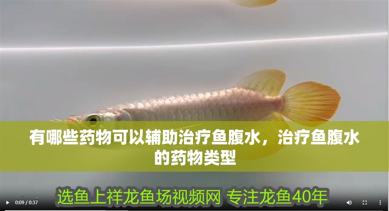 給大魚缸換水的作文:體驗給大魚缸換水的樂趣:體驗給大魚缸換水:給大魚缸換水的作文 有哪些藥物可以輔助治療魚腹水,治療魚腹水的藥物類型 龍魚百科 有哪些藥物可以輔助治療魚腹水,治療魚腹水的藥物類型 有哪些藥物可以輔助治療魚腹水,治療魚腹水的藥物類型 龍魚百科