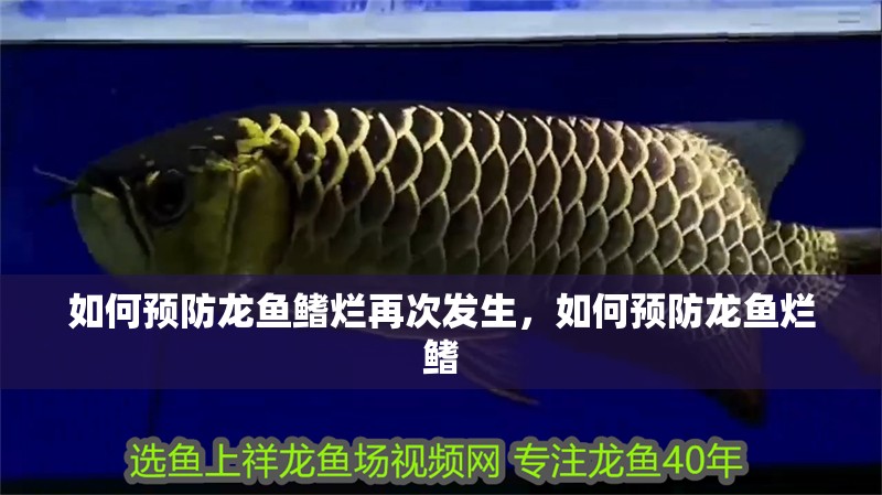 如何預(yù)防龍魚(yú)鰭爛再次發(fā)生，如何預(yù)防龍魚(yú)爛鰭