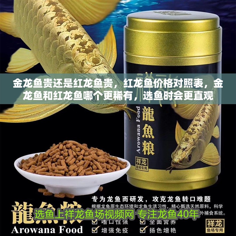金龍魚貴還是紅龍魚貴，紅龍魚價格對照表，金龍魚和紅龍魚哪個更稀有，選魚時會更直觀 金龍魚貴還是紅龍魚貴，紅龍魚價格對照表，金龍魚和紅龍魚哪個更稀有，選魚時會更直觀 龍魚百科