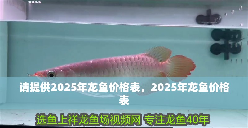 請提供2025年龍魚價格表，2025年龍魚價格表
