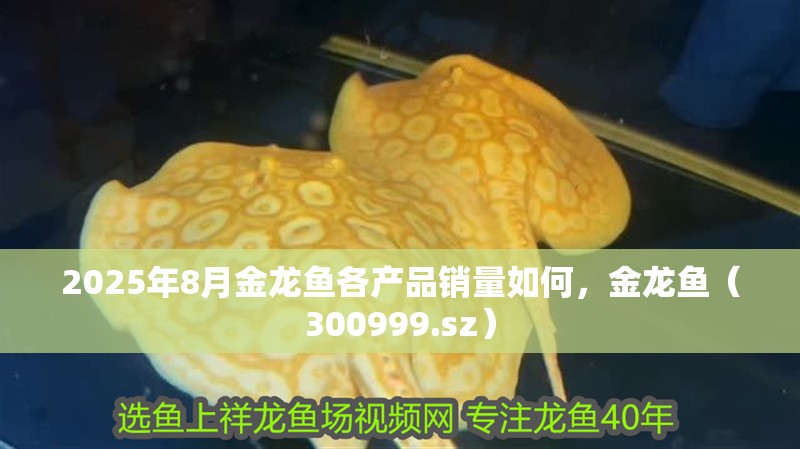 魚缸用增氧泵價格是多少:魚缸增氧機-xtrac增氧機-xtrac增氧機 2025年8月金龍魚各產品銷量如何,金龍魚(300999.sz) 龍魚百科 2025年8月金龍魚各產品銷量如何,金龍魚(300999.sz) 2025年8月金龍魚各產品銷量如何,金龍魚(300999.sz) 龍魚百科