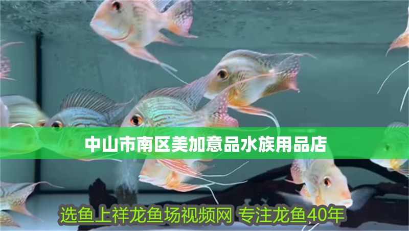 中山市南區(qū)美加意品水族用品店 中山市南區(qū)美加意品水族用品店 全國水族館企業(yè)名錄 第1張